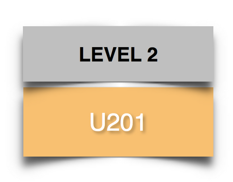 U201 Ukulele Course
