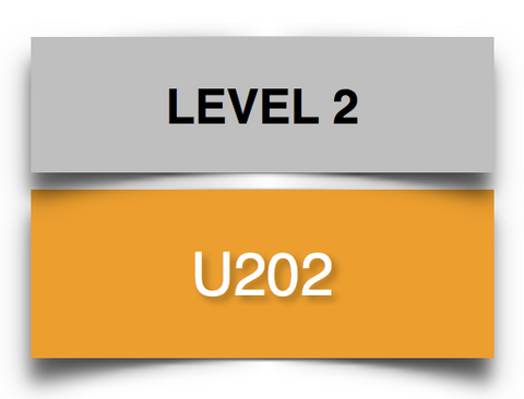 U202 Ukulele Course